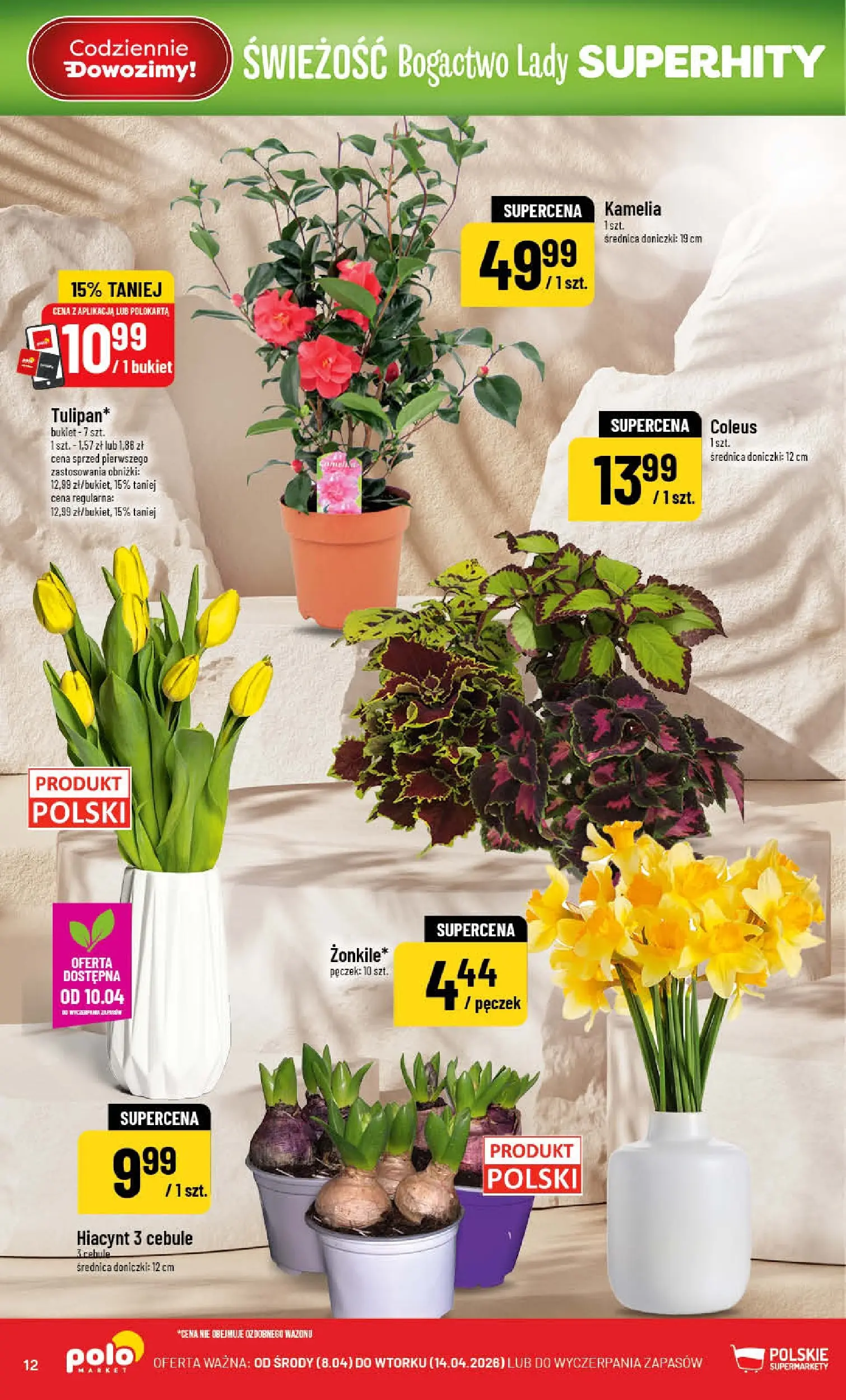Nowa POLOmarket gazetka od jutra 08.04.2026 | Strona: 12 | Produkty: Doniczki, Cebule