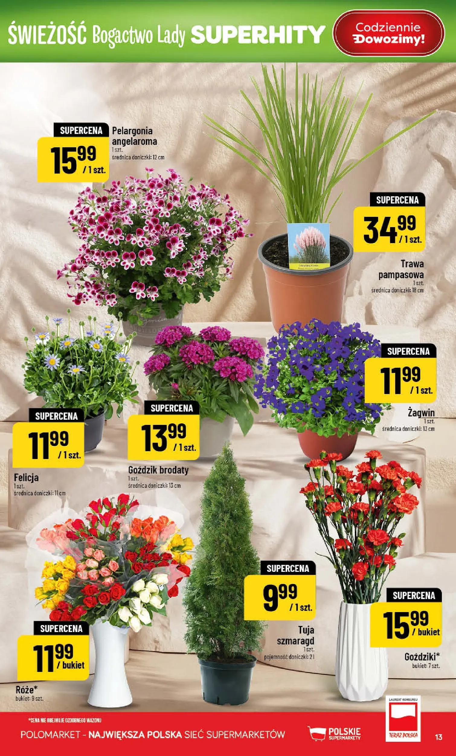 Nowa POLOmarket gazetka od jutra 08.04.2026 | Strona: 13 | Produkty: Goździk, Doniczki, Trawa pampasowa