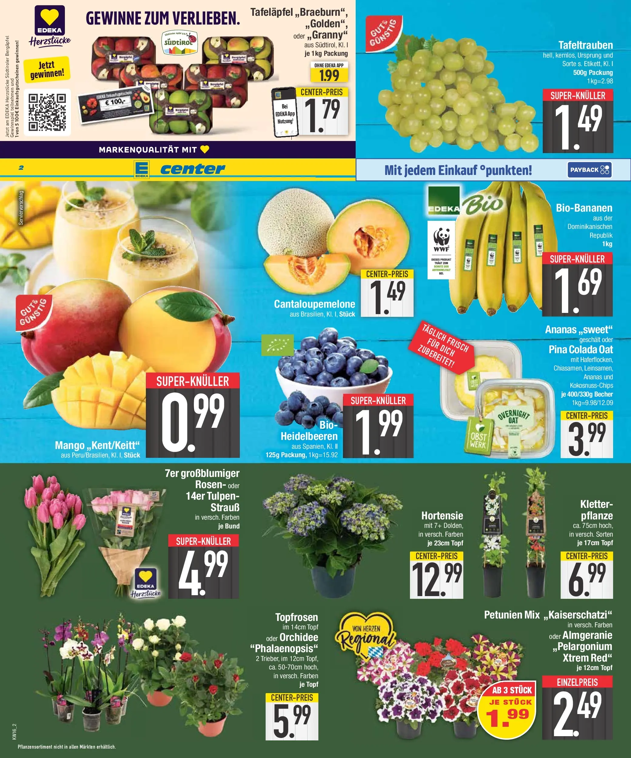 Edeka prospekt Neustadt	 (ab 12.04.2026) » Angebote Online | Seite: 2 | Produkte: Orchidee, Ananas, Heidelbeeren, Mango