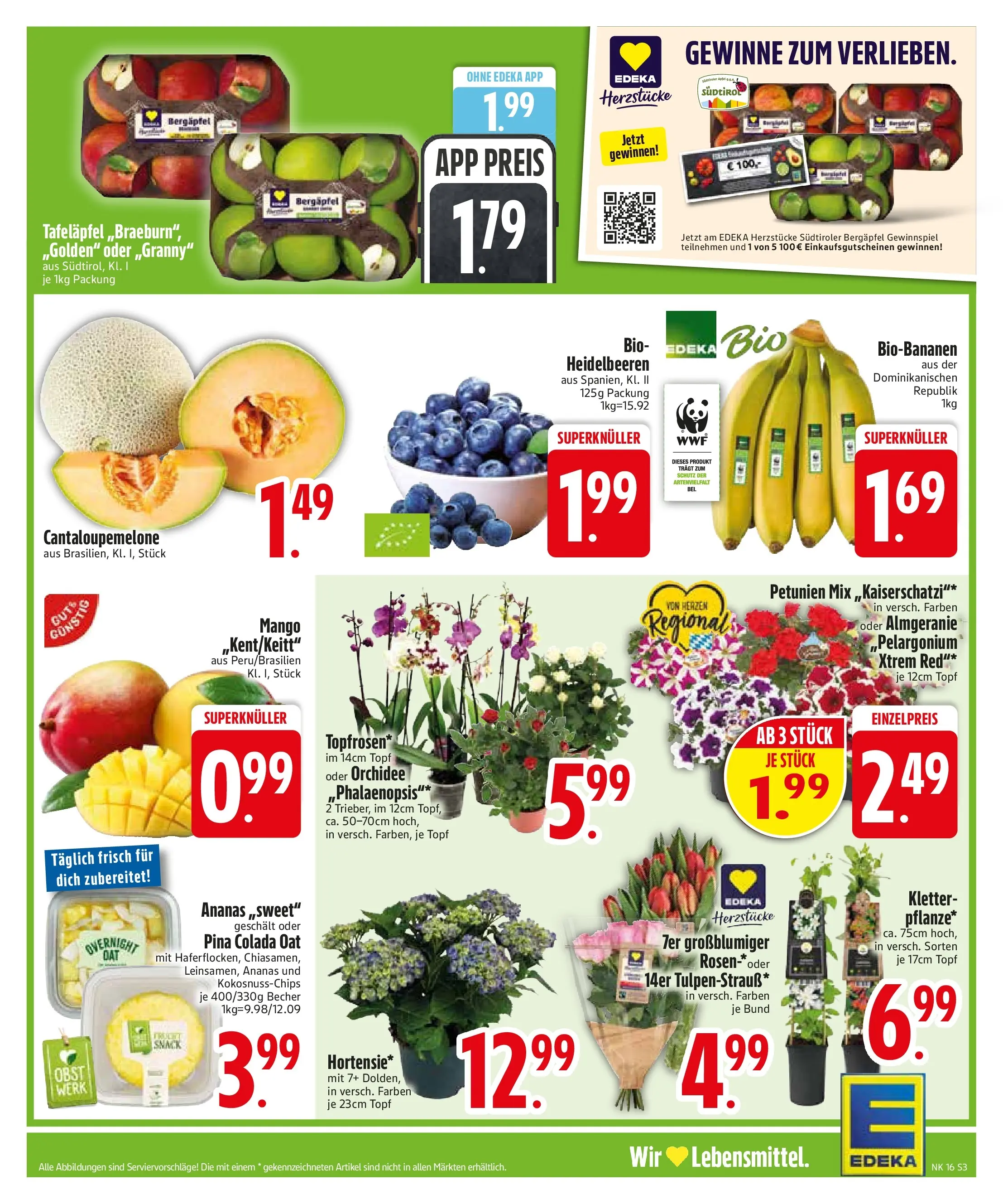 Edeka prospekt München	 (ab 13.04.2026) » Angebote Online | Seite: 5 | Produkte: Orchidee, Ananas, Heidelbeeren, Mango