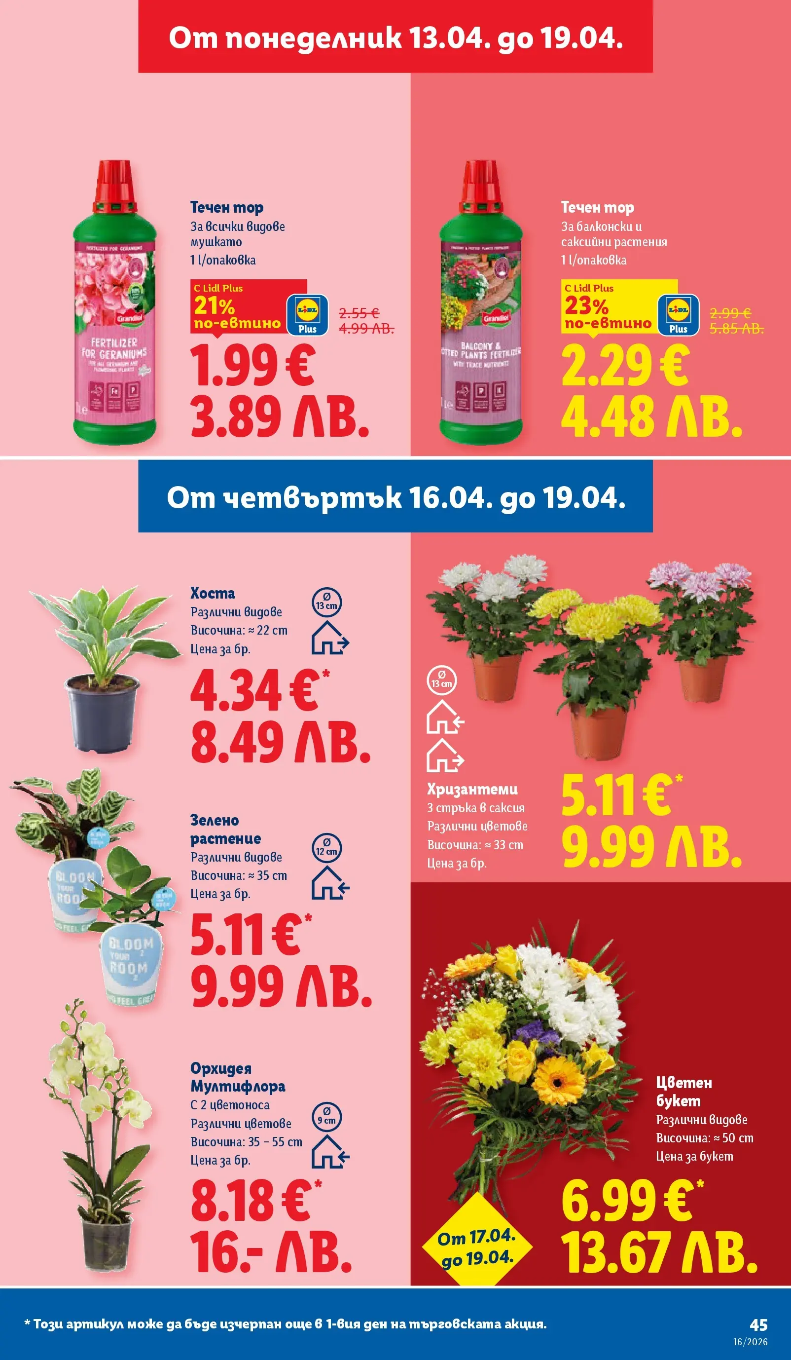 Лидл - Седмични предложения от ЛИДЛ с валидност до 19.04.2026 от 12.04.2026 | Страница: 45 | Продукти: Орхидея, Саксия Лидл - Седмични предложения от ЛИДЛ с валидност до 19.04.2026 от 12.04.2026 | Страница: 45 | Продукти: Орхидея, Саксия