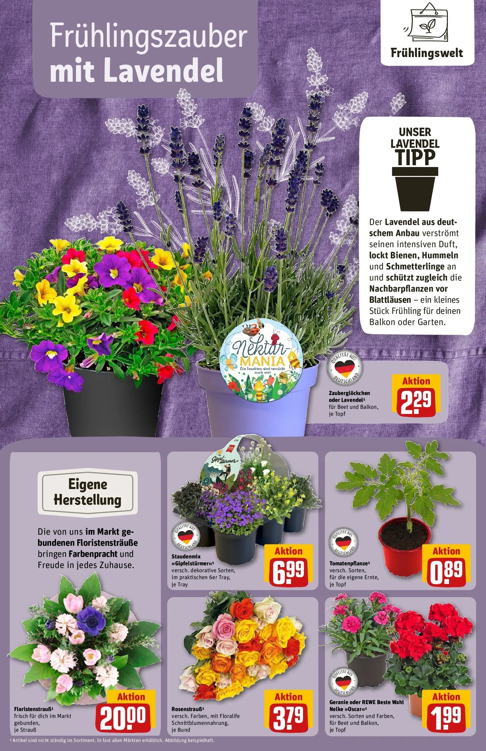REWE Prospekt ab 12.04.2026 zum Blättern » Angebote | Seite: 12 | Produkte: Lavendel