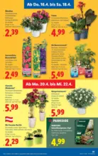Lidl Lidl - ab 16.04.2026