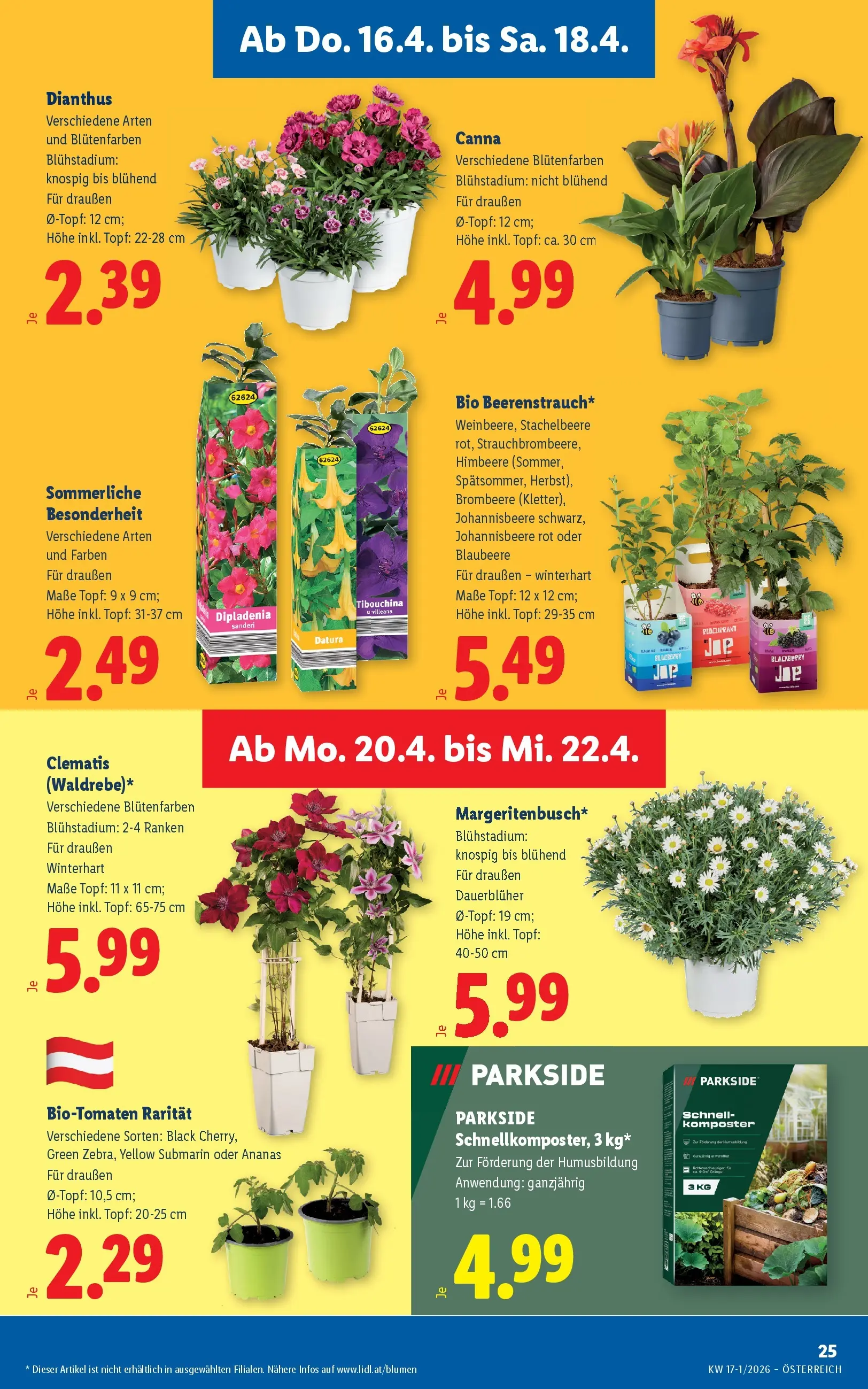 Lidl - Lidl ab 15.04.2026 - Angebote ab donnerstag | Seite: 29 | Produkte: Himbeere, Ananas