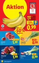 Lidl Lidl - ab 16.04.2026