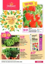 Delbard Top prix ! - au 19.04.2026