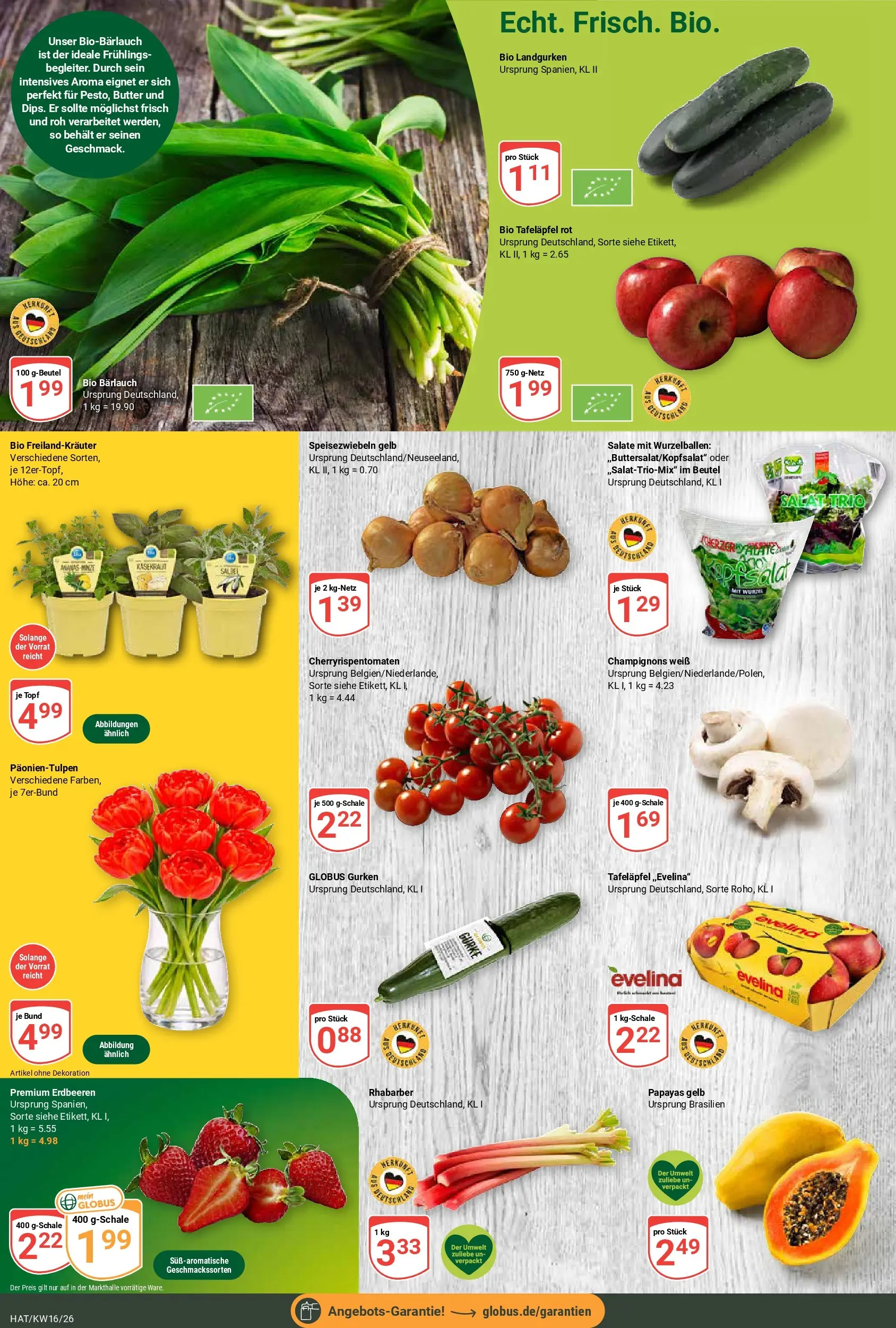 Globus Prospekt Hattersheim	 (ab 12.04.2026) » Angebote online | Seite: 6 | Produkte: Rhabarber, Erdbeeren, Gurken, Salat