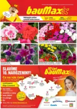Baumax Baumax let&aacute;k &ndash; do 30.04.2026