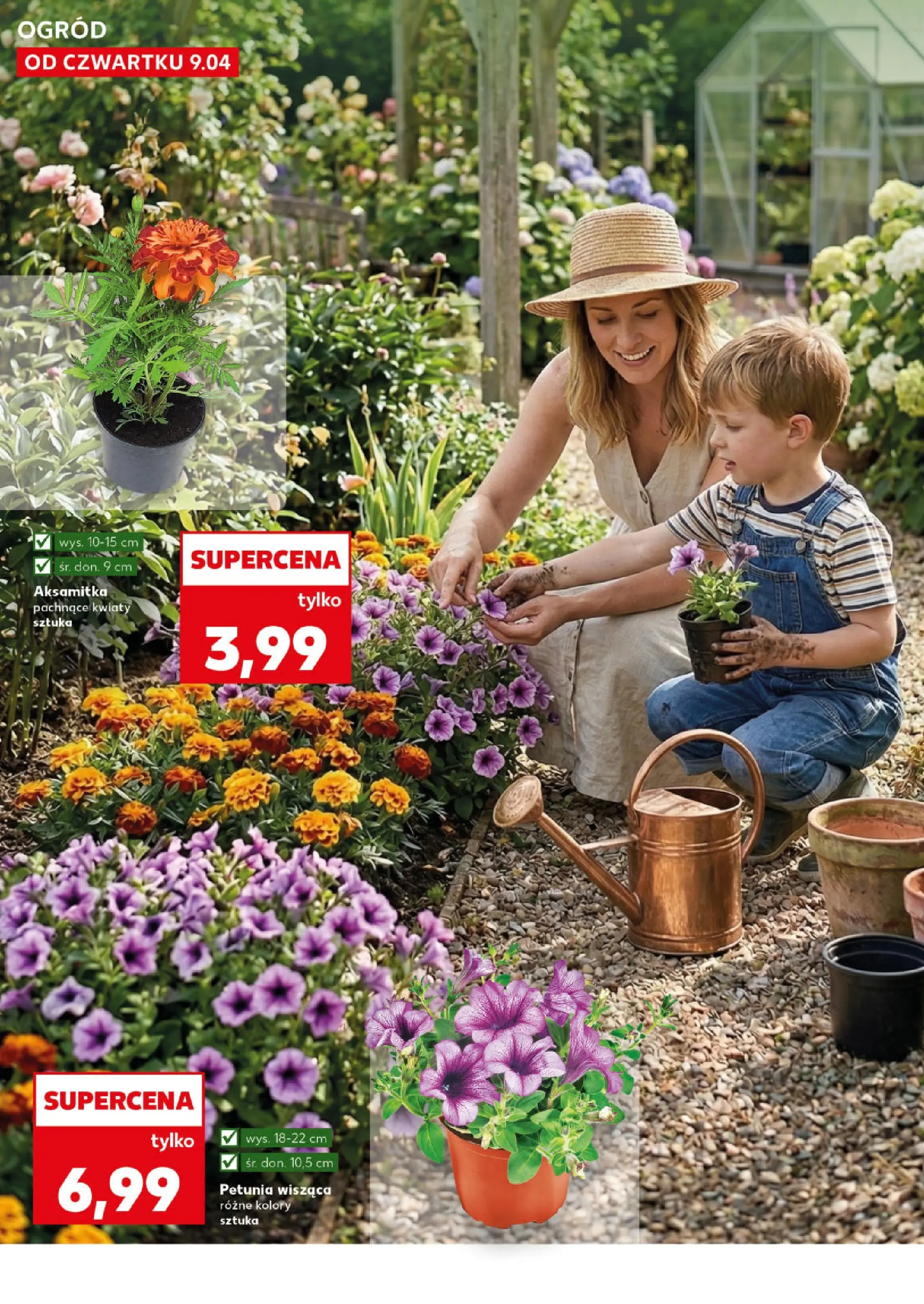 Kaufland gazetka - Ogród od 09.04.2026 - od jutra PDF | Strona: 10 | Produkty: Kwiaty