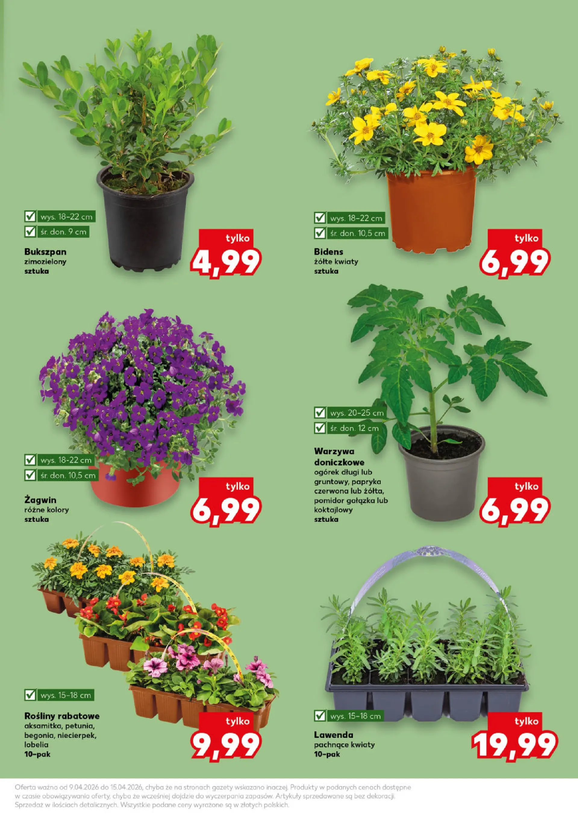 Kaufland gazetka - Ogród od 09.04.2026 - od jutra PDF | Strona: 11 | Produkty: Papryka, Rosliny, Kwiaty, Warzywa