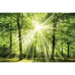 B&ouml;nninghoff Keilrahmenbild