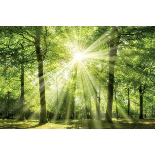 B&ouml;nninghoff Keilrahmenbild