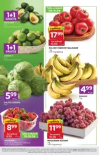 Świetna oferta dla wszystkich klient&oacute;w