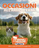 Il Gigante Occasioni all'aria aperta! - al 06.05.2026