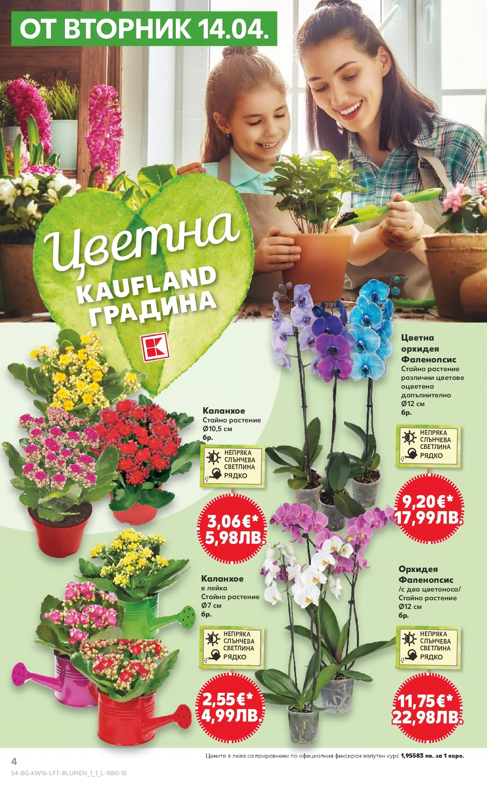 Нова Кауфланд - Седмични предложения в Kaufland с валидност до 19.04.2026 от 12.04.2026 | Страница: 4 | Продукти: Орхидея, Лейка