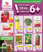 Oferta dla profesjonalist&oacute;w Selgros &ndash; do 22.04.2026