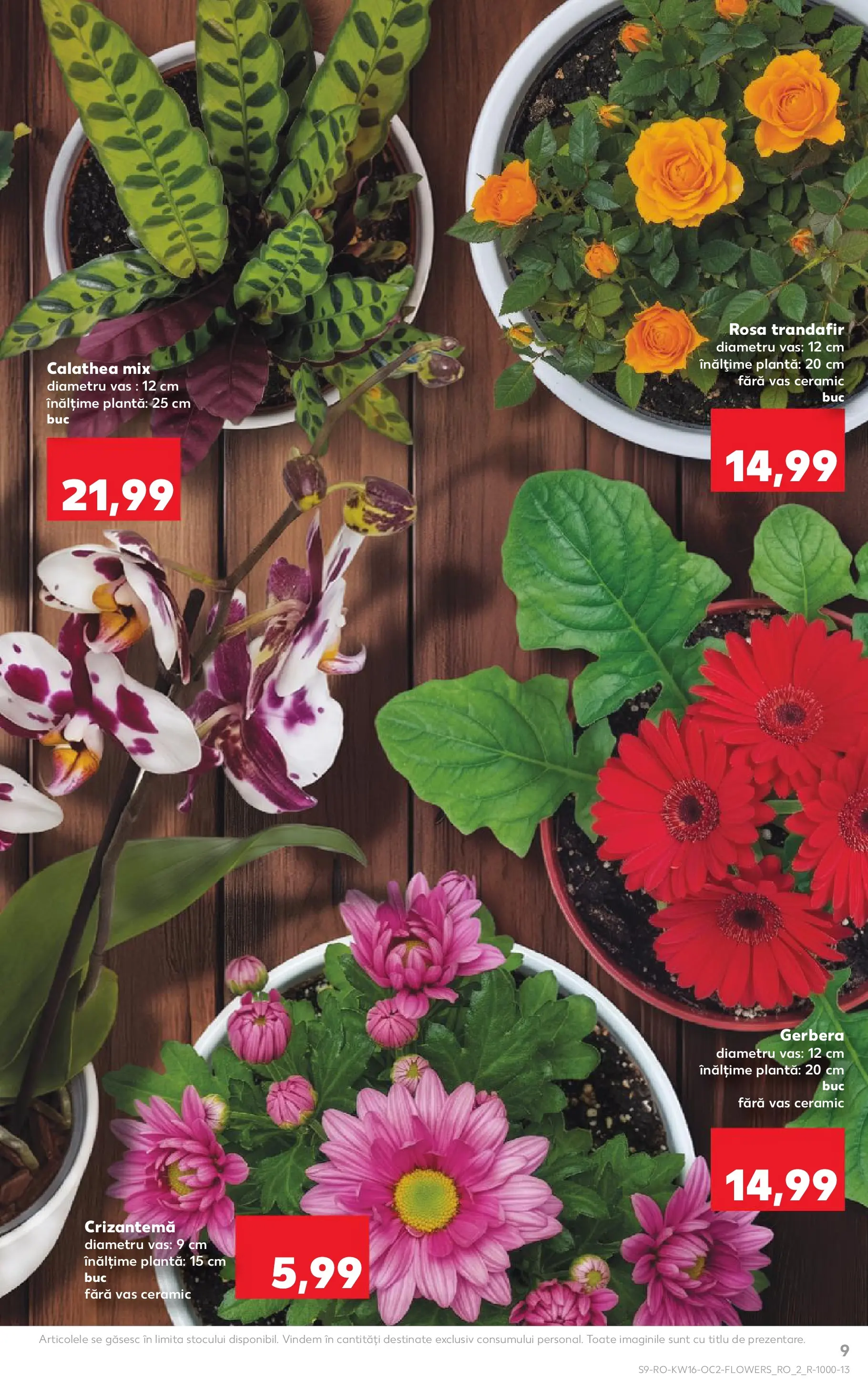 Kaufland Viseu de Sus 15.04.2026 - Revista si Oferta | Pagină: 9