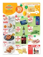 Globus Globus 16 26 L1 &ndash; do 21.04.2026