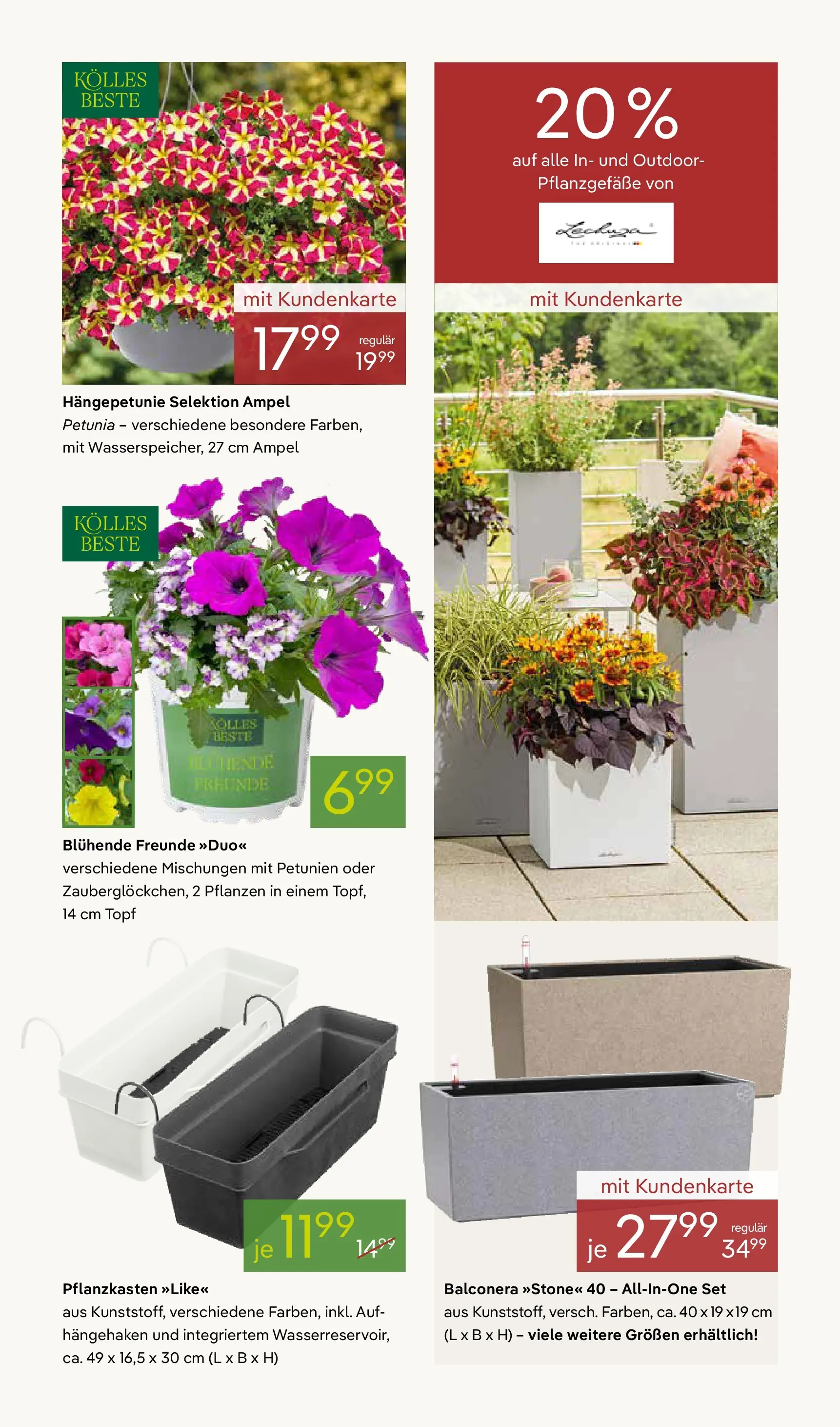 Pflanzen-Kölle Blütenzauber für Zuhause Teltow (ab 20.04.2026) zum Blättern | Seite: 3