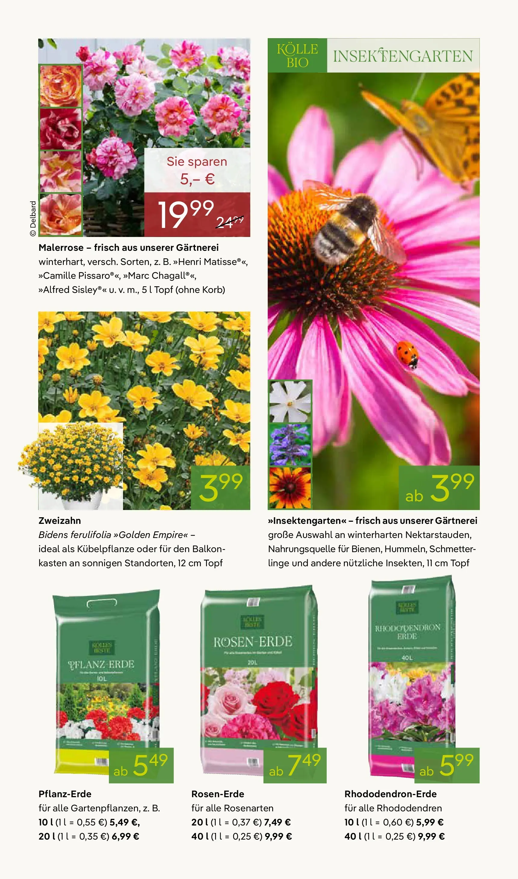 Pflanzen-Kölle Blütenzauber für Zuhause Teltow (ab 20.04.2026) zum Blättern | Seite: 5 | Produkte: Pflanzerde, Korb