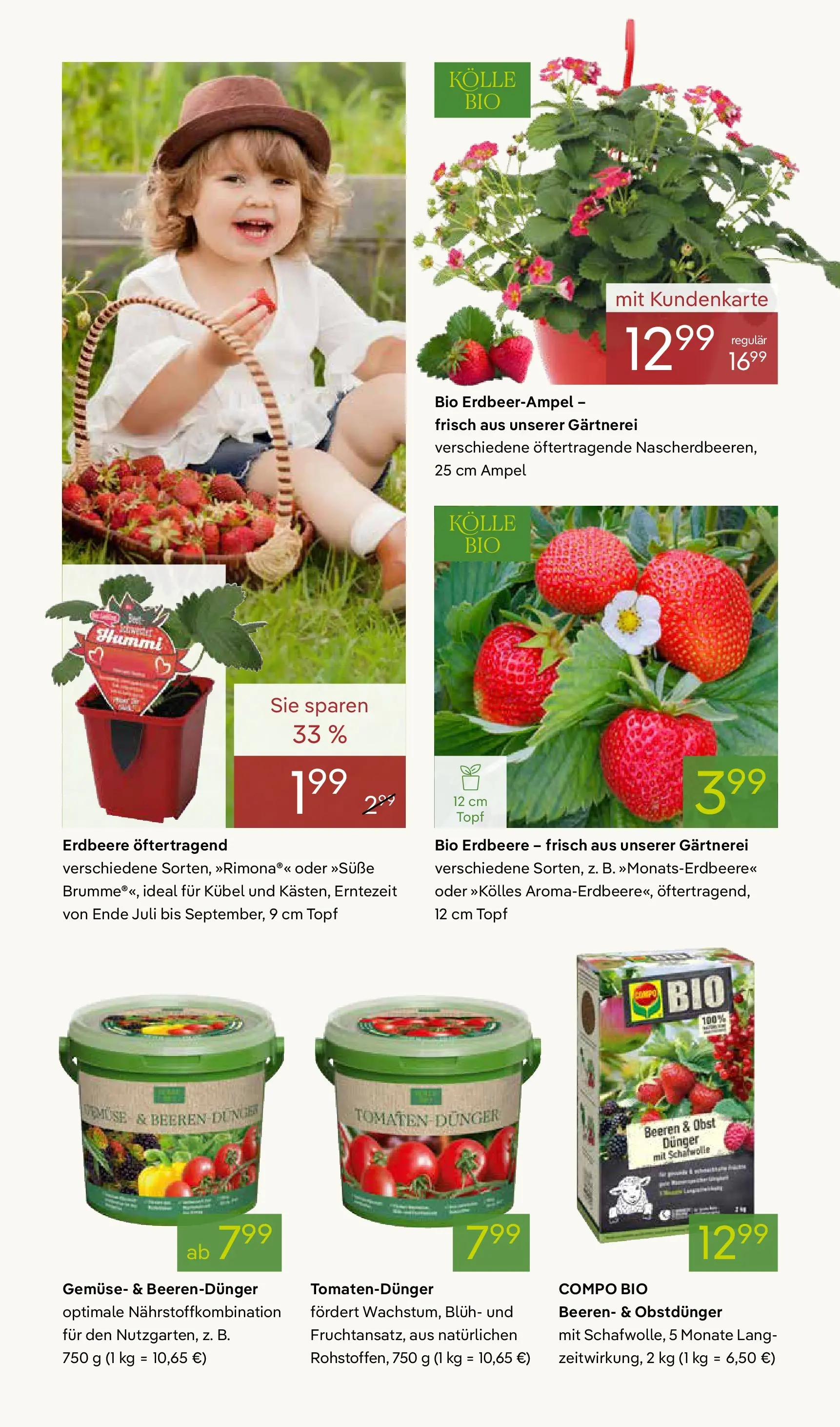 Pflanzen-Kölle Blütenzauber für Zuhause Teltow (ab 20.04.2026) zum Blättern | Seite: 8 | Produkte: Tomaten, Gemüse, Obst