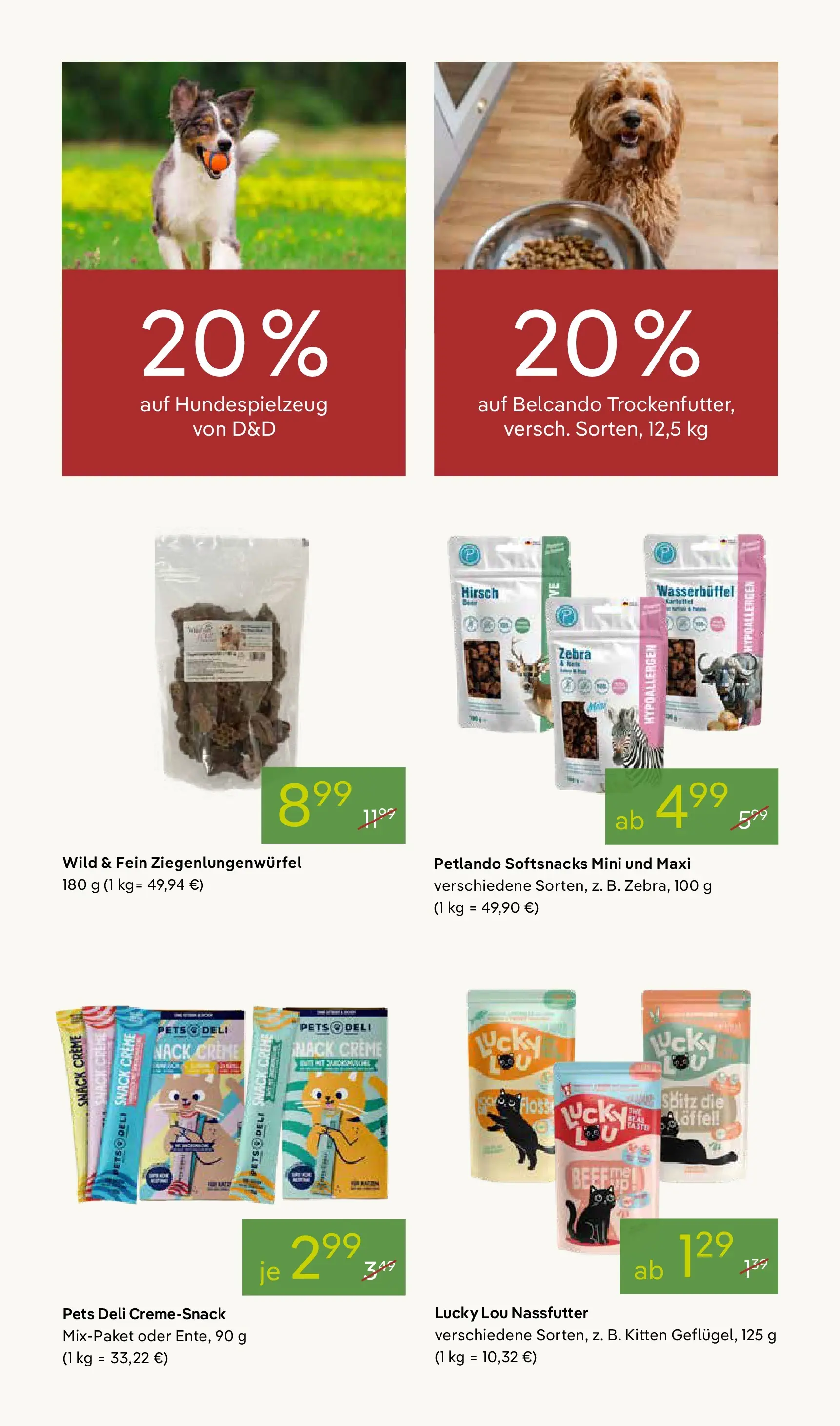 Pflanzen-Kölle Blütenzauber für Zuhause Teltow (ab 20.04.2026) zum Blättern | Seite: 12 | Produkte: Creme