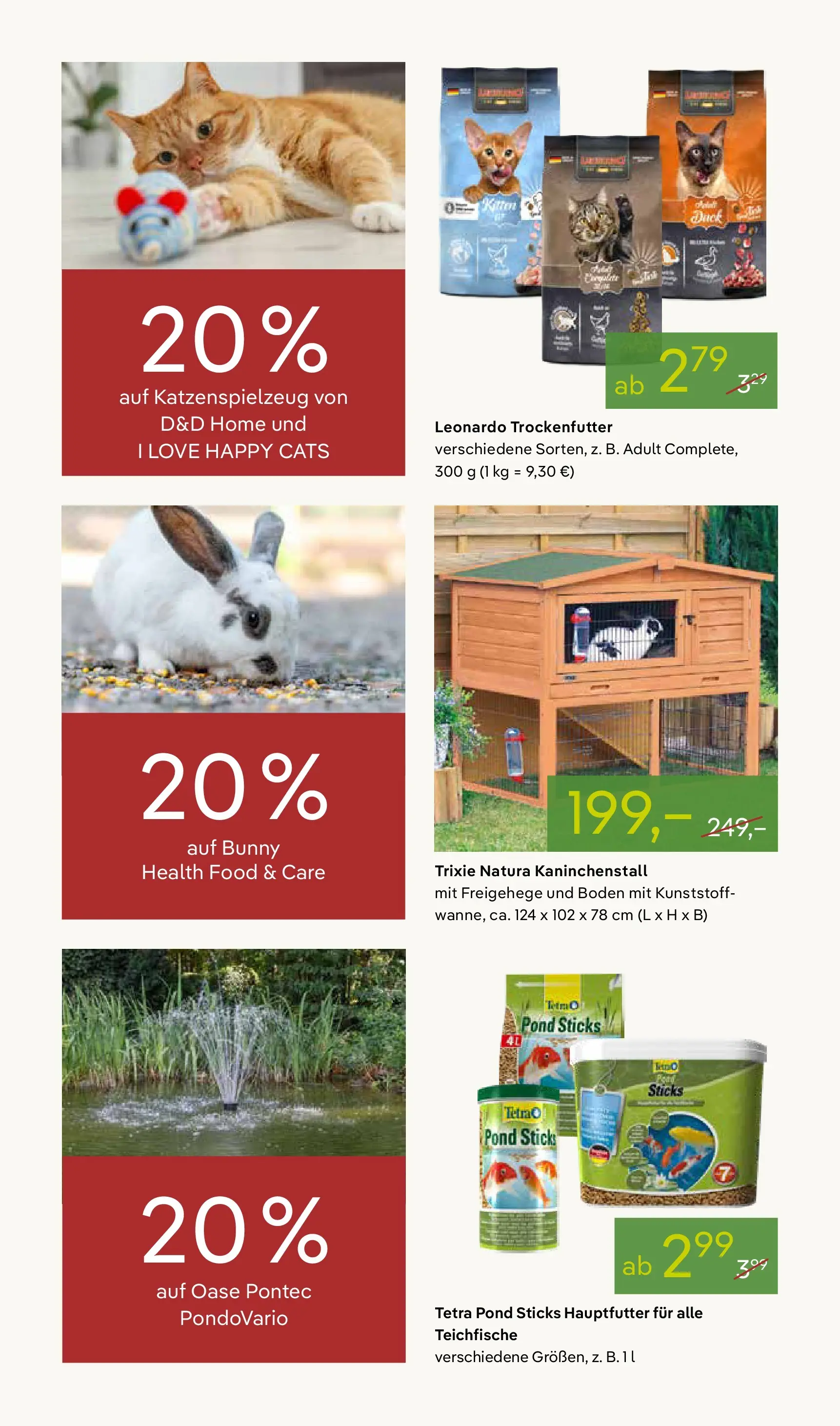 Pflanzen-Kölle Blütenzauber für Zuhause Teltow (ab 20.04.2026) zum Blättern | Seite: 13