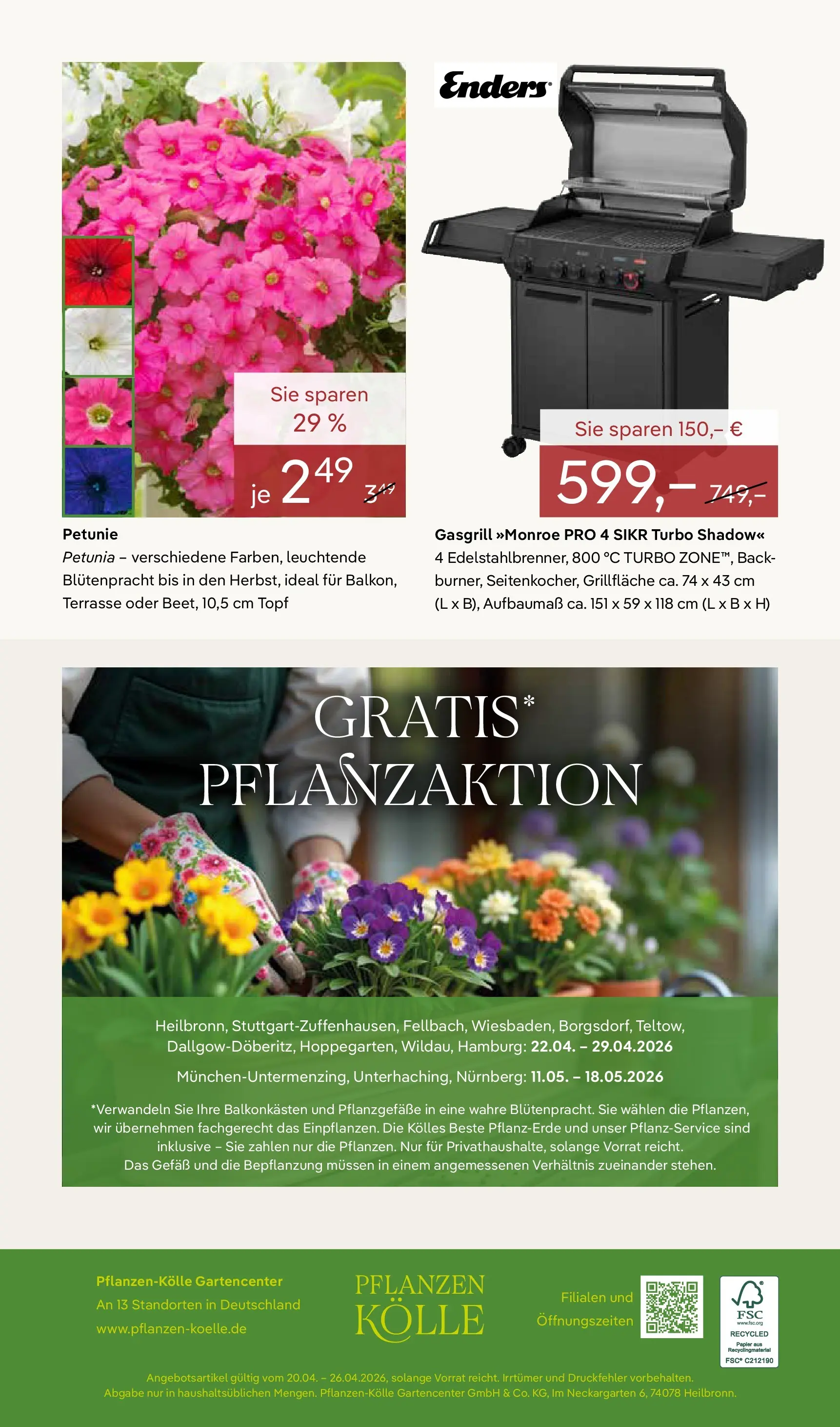 Pflanzen-Kölle Blütenzauber für Zuhause Teltow (ab 20.04.2026) zum Blättern | Seite: 14 | Produkte: Pflanzerde