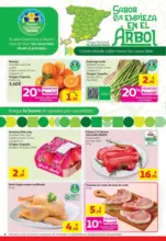 Alcampo Supermercado - Sales ganando