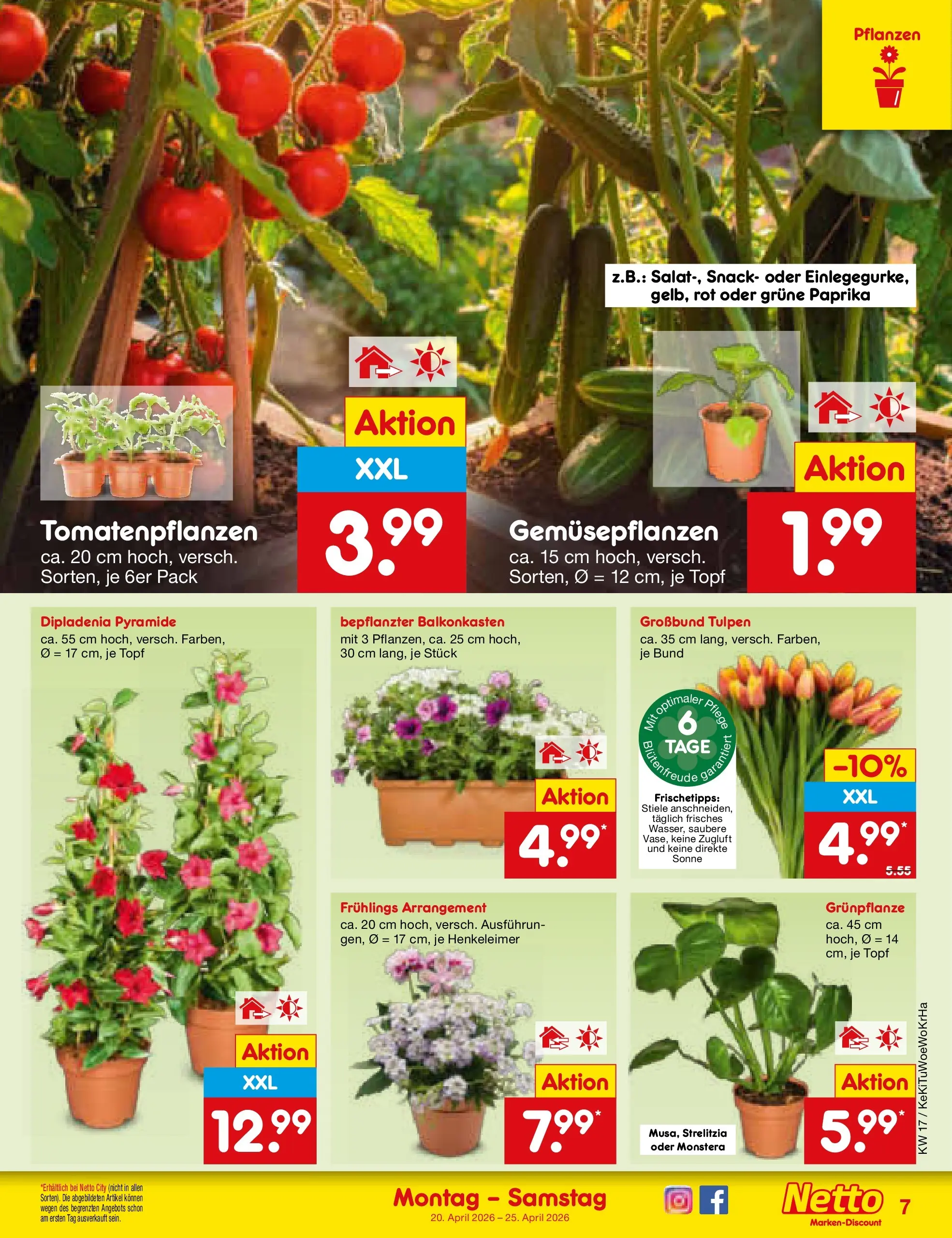 Netto Marken-Discount Prospekt Mannheim	 (ab 20.04.2026) » Angebote | Seite: 9 | Produkte: Paprika