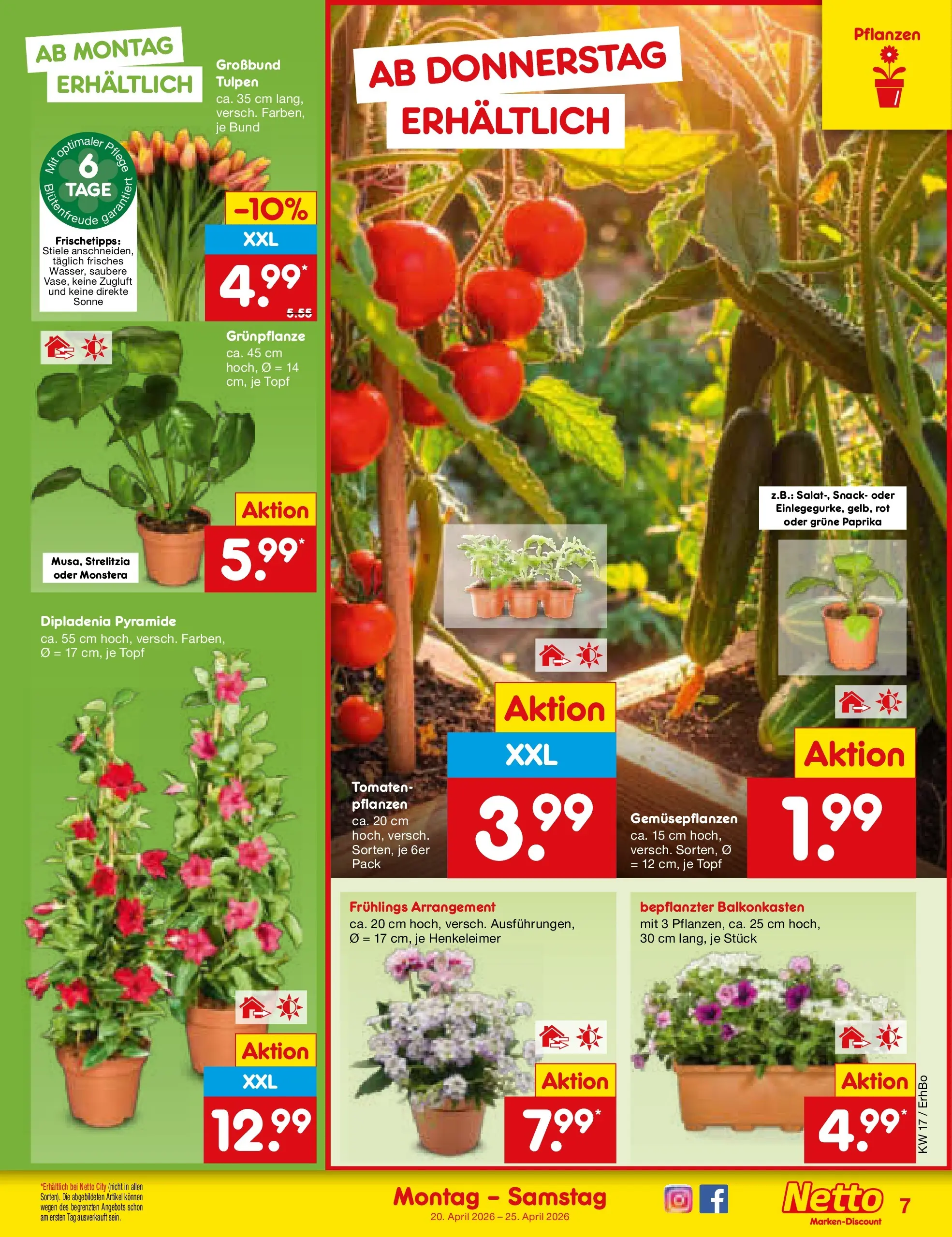 Netto Marken-Discount Prospekt Metten	 (ab 20.04.2026) » Angebote | Seite: 9 | Produkte: Tomaten, Paprika