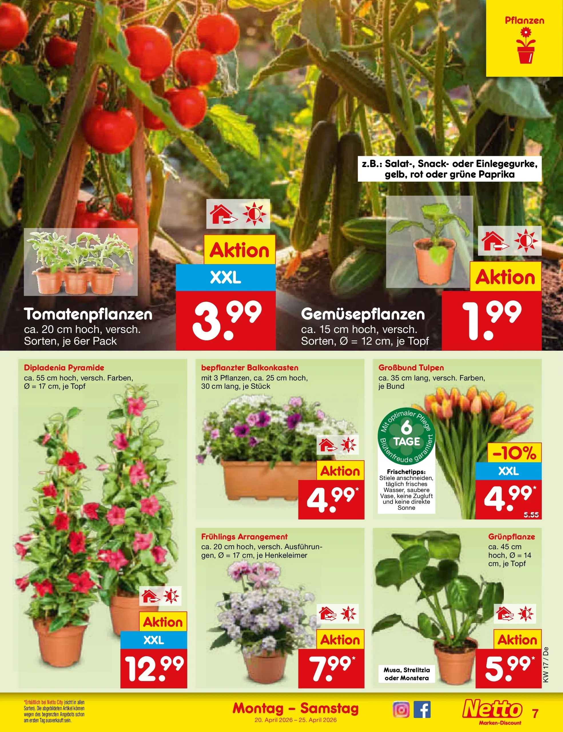Netto Marken-Discount Prospekt Waiblingen-Bittenfeld	 (ab 19.04.2026) » Angebote | Seite: 9 | Produkte: Paprika