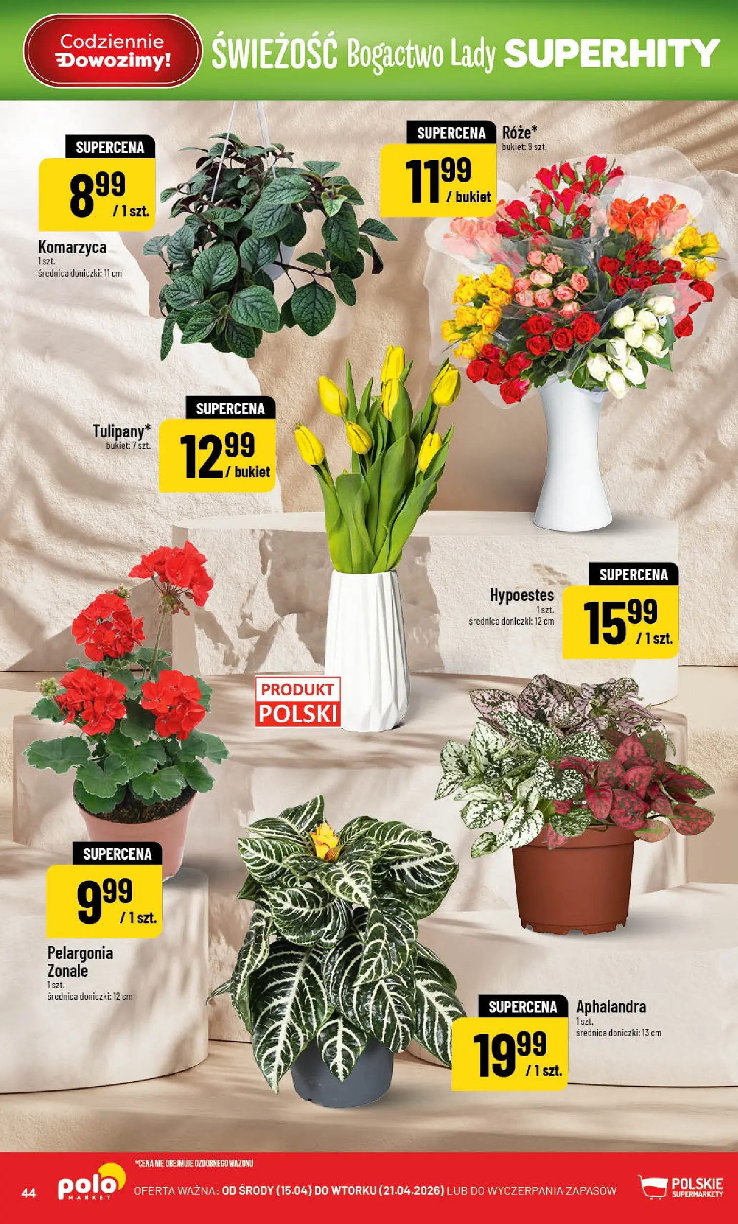 Nowa POLOmarket gazetka od jutra 15.04.2026 | Strona: 44 | Produkty: Doniczki