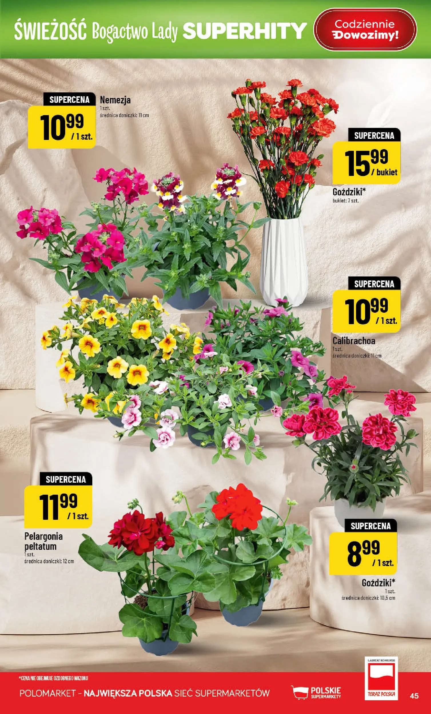Nowa POLOmarket gazetka od jutra 15.04.2026 | Strona: 45 | Produkty: Doniczki
