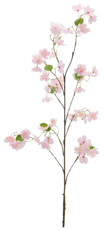 Kirschbl&uuml;tenzweig Kirschbl&uuml;te Rosa ca. 126cm