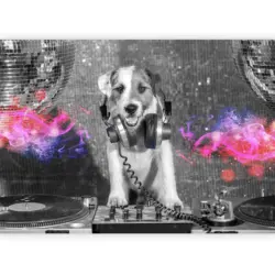 Fototapete DJ Dog Grau/Schwarz