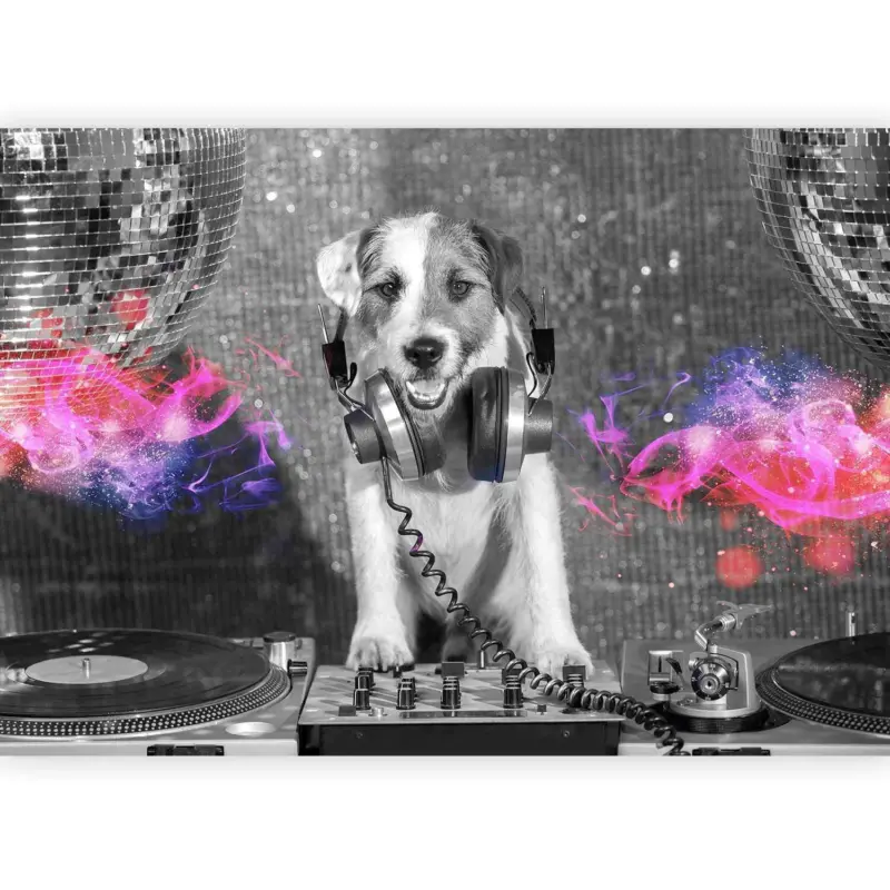 Fototapete DJ Dog Grau/Schwarz