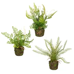 Dekopflanze Farn in Gr&uuml;n