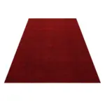 m&ouml;max Dornbirn - Ihr Trendm&ouml;belhaus in Dornbirn Hochflorteppich ATA Rot ca. 60x100cm