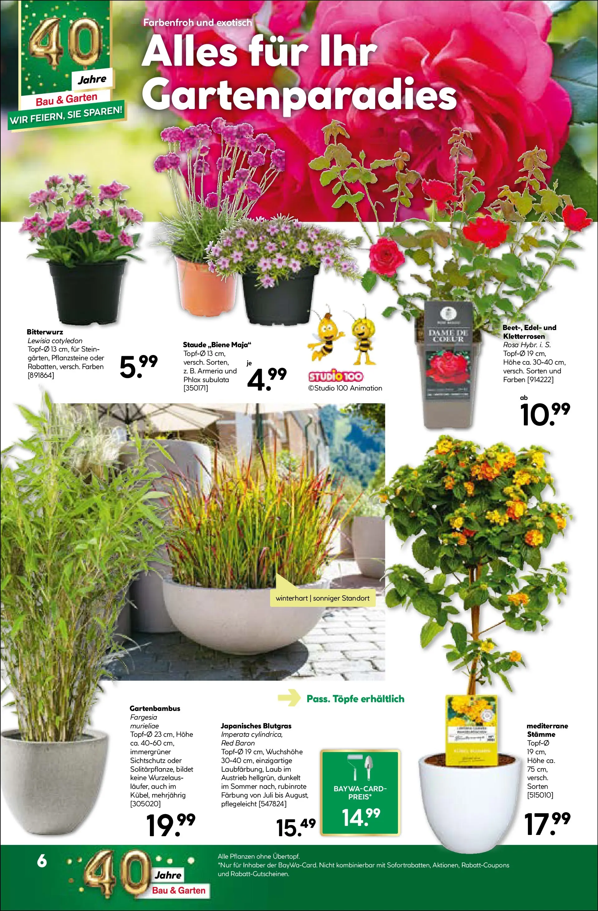Angebote - BayWa: Wochenangebote (ab 19.04.2026) zum Blättern | Seite: 6