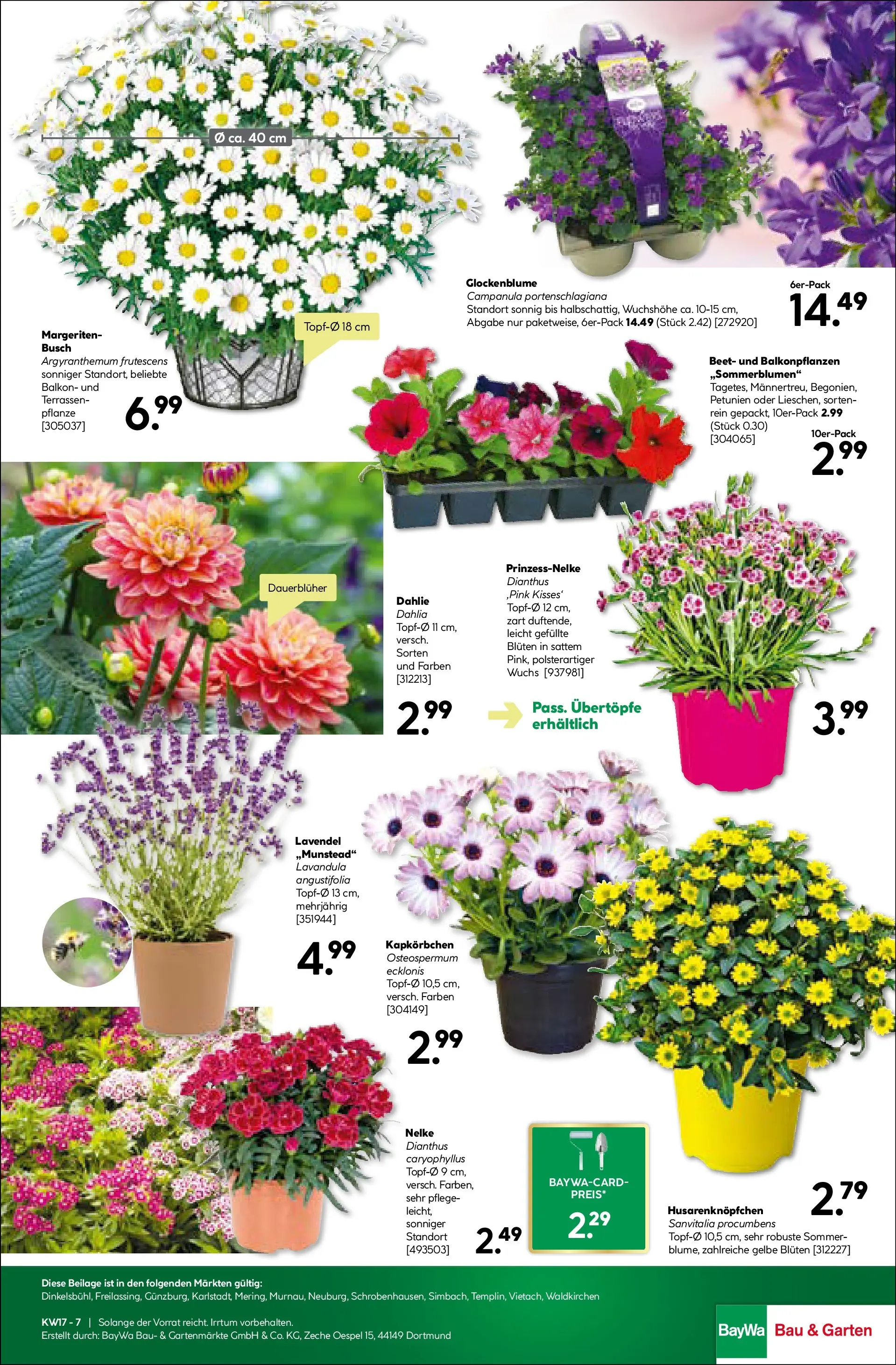 Angebote - BayWa: Wochenangebote (ab 19.04.2026) zum Blättern | Seite: 19 | Produkte: Lavendel