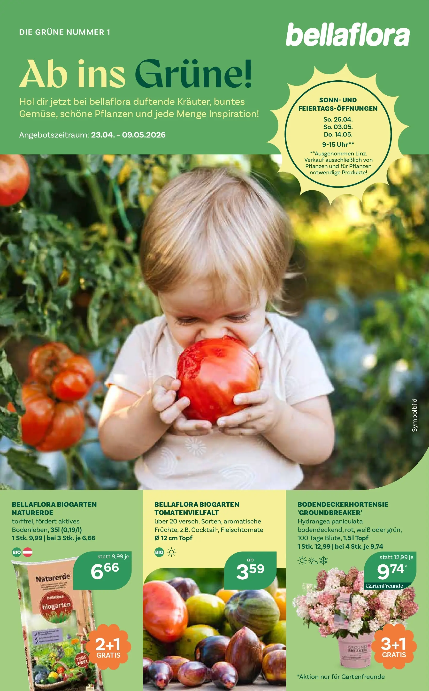 bellaflora - Bellaflora: Flugblatt von 22.04.2026 - Aktuelle Angebote | Seite: 1 | Produkte: Uhr