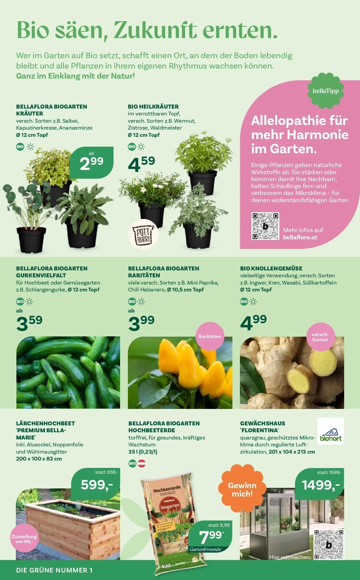 bellaflora - Bellaflora: Flugblatt von 22.04.2026 - Aktuelle Angebote | Seite: 2 | Produkte: Chili
