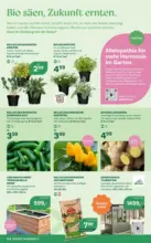 Bellaflora: Flugblatt
