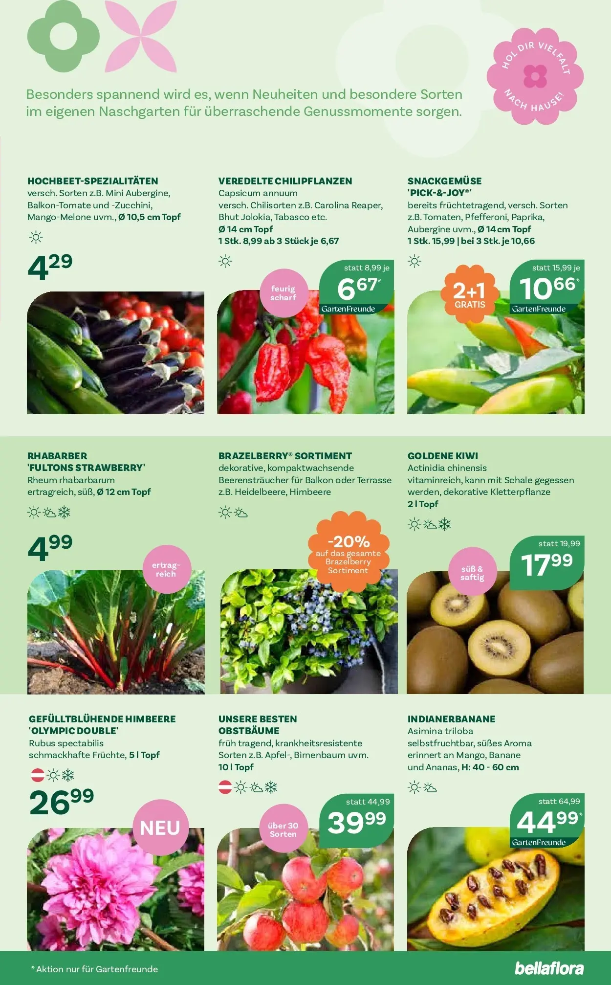 bellaflora - Bellaflora: Flugblatt von 22.04.2026 - Aktuelle Angebote | Seite: 3 | Produkte: Kiwi, Aubergine, Himbeere