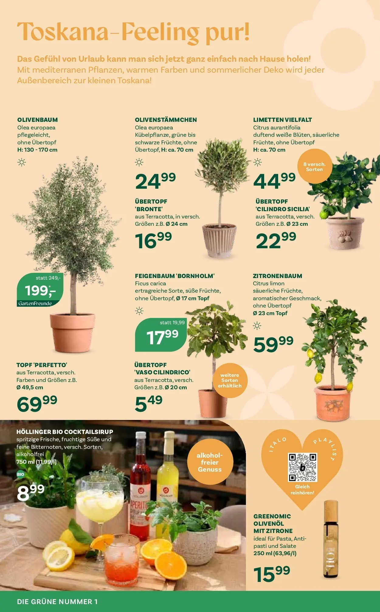 bellaflora - Bellaflora: Flugblatt von 22.04.2026 - Aktuelle Angebote | Seite: 4 | Produkte: Zitrone