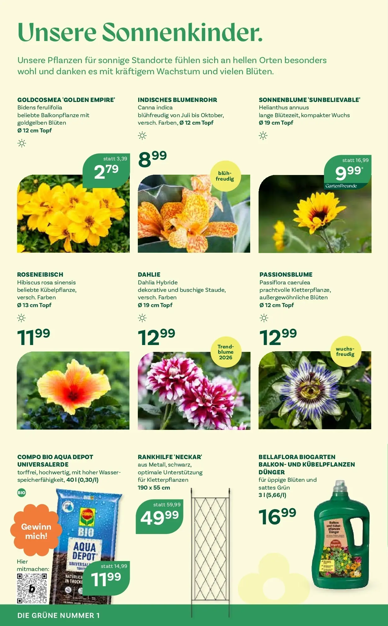 bellaflora - Bellaflora: Flugblatt von 22.04.2026 - Aktuelle Angebote | Seite: 6 | Produkte: Wasser