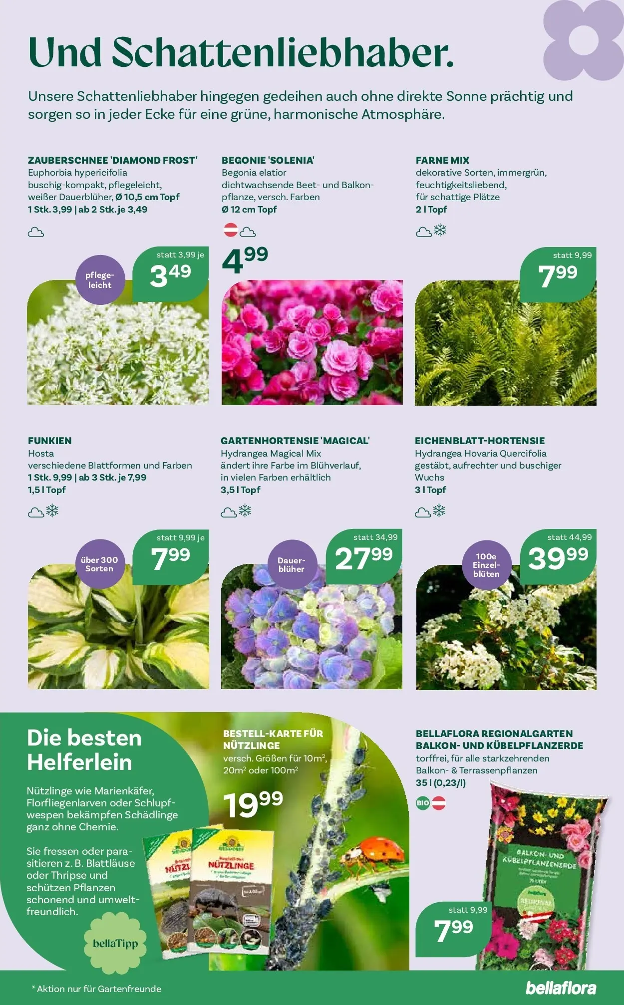 bellaflora - Bellaflora: Flugblatt von 22.04.2026 - Aktuelle Angebote | Seite: 7
