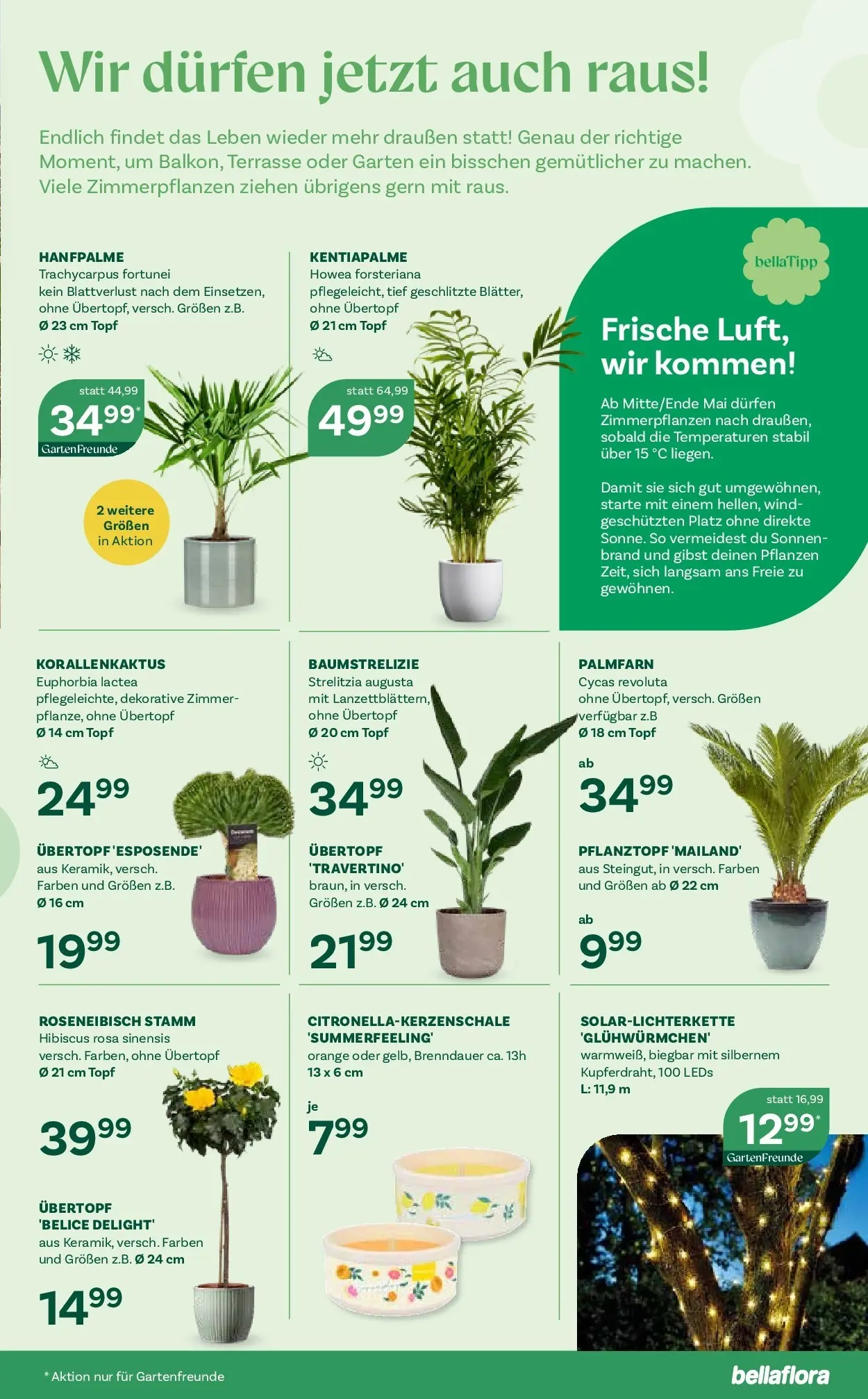 bellaflora - Bellaflora: Flugblatt von 22.04.2026 - Aktuelle Angebote | Seite: 9