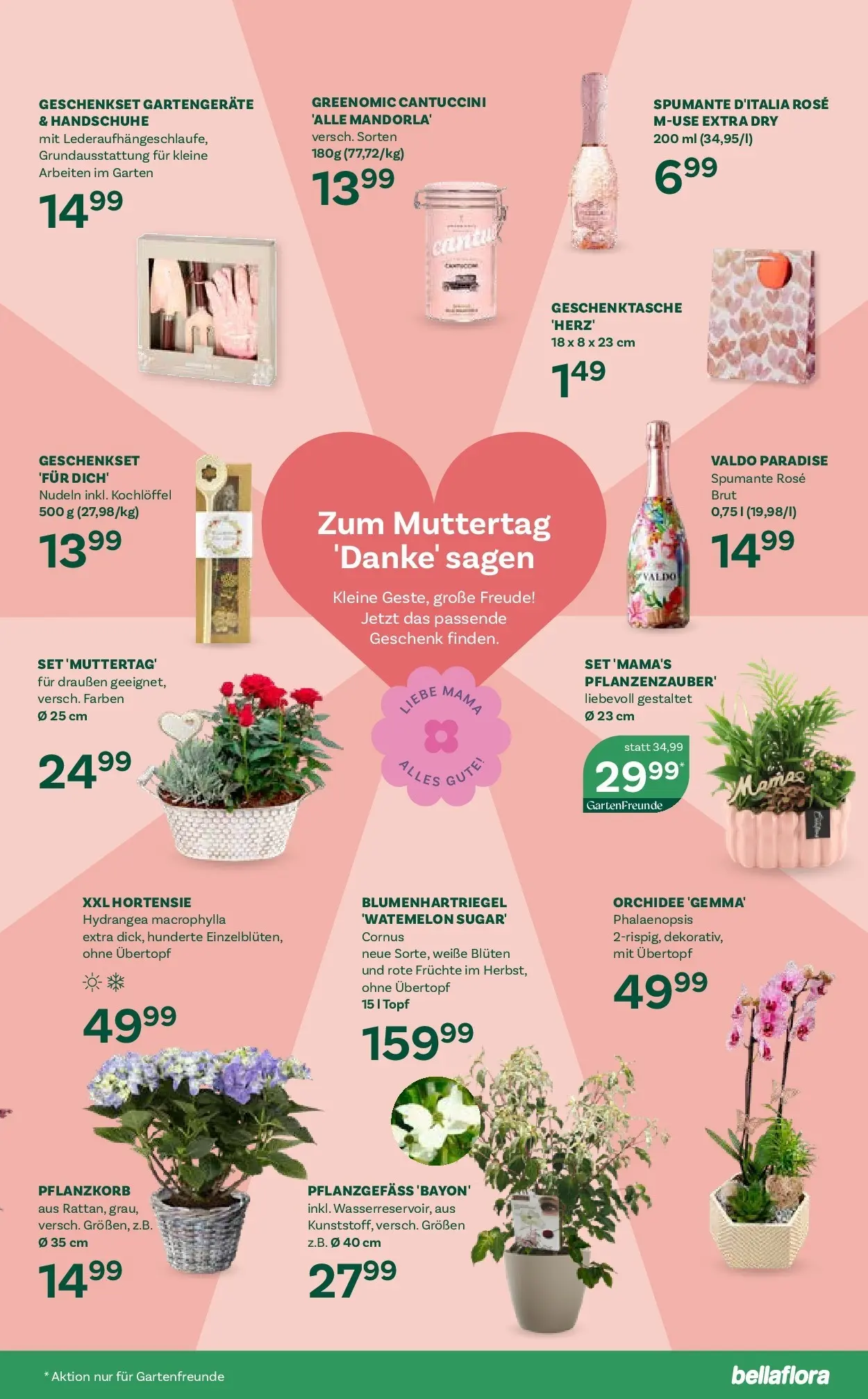 bellaflora - Bellaflora: Flugblatt von 22.04.2026 - Aktuelle Angebote | Seite: 11 | Produkte: Handschuhe, Nudeln